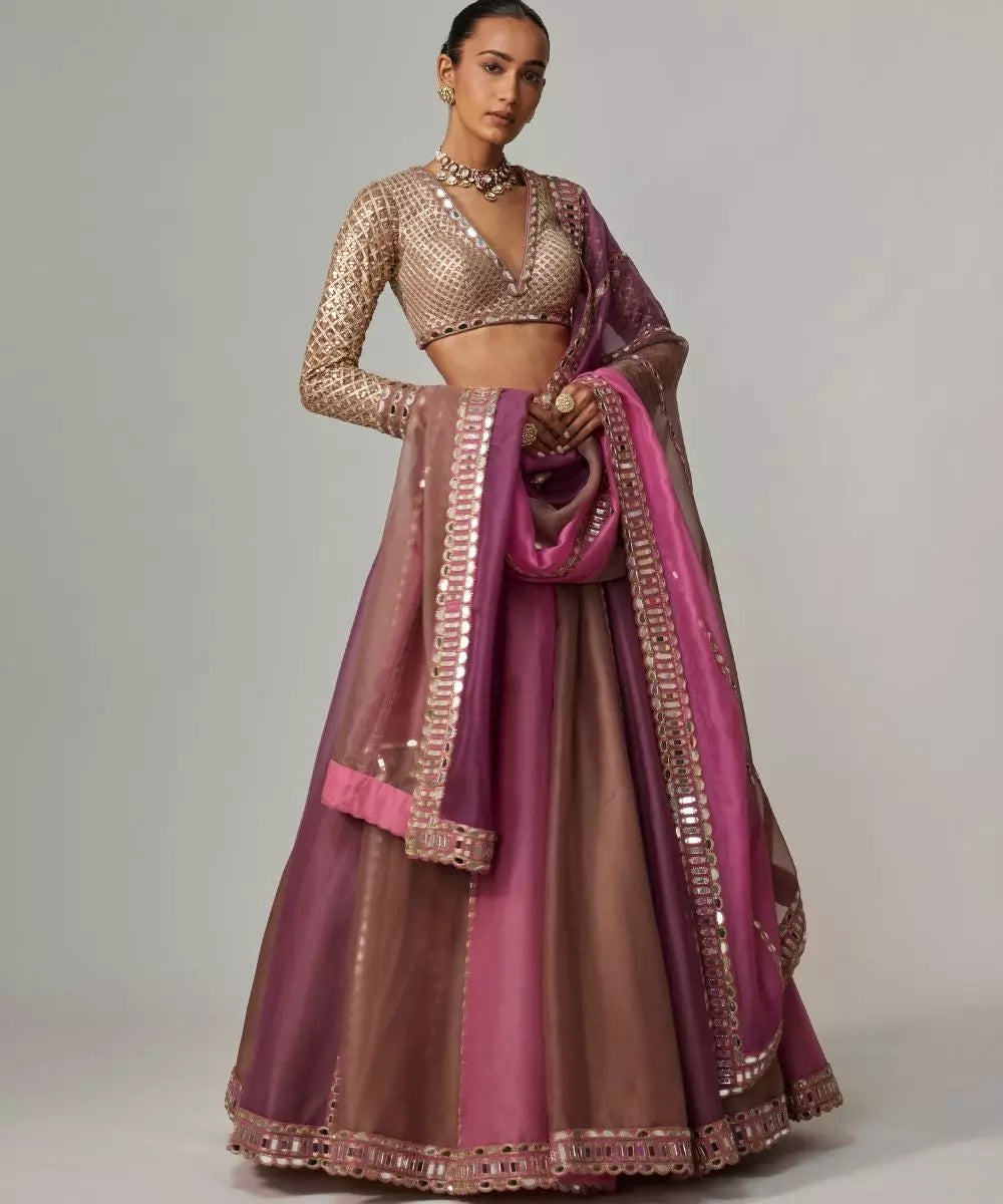 VVANI VATS - Mud mauve mauve multicolor Lehenga Set with  V Neck Blouse